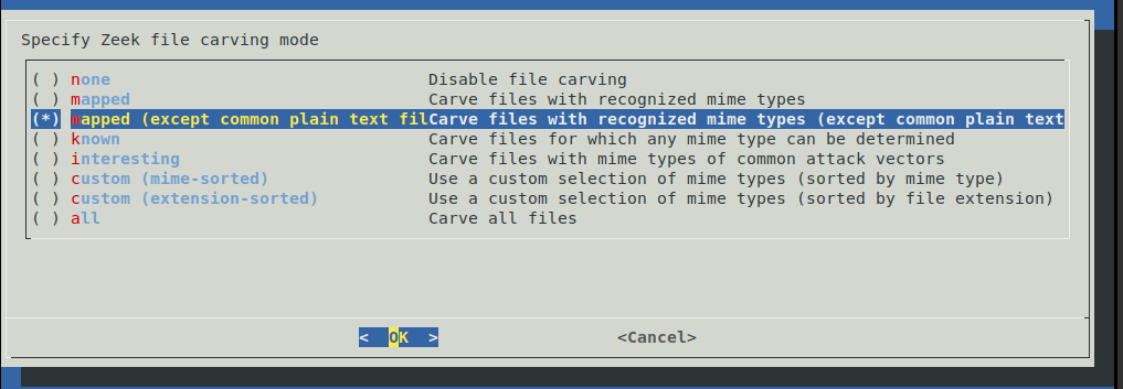 Zeek file carving mode